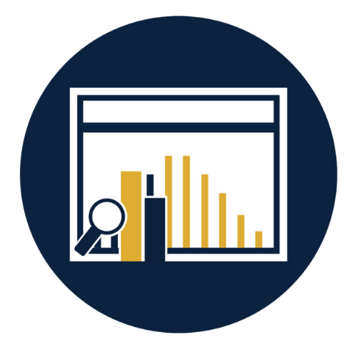 Monthly performance reports on profile traffic and keyword rankings